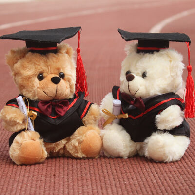 눈금 축하 30cm를 위한 Graduation Plush 닥터 장난감 곰