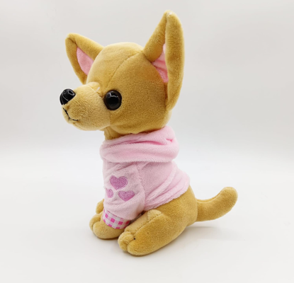 Cute dog - Chihuahua